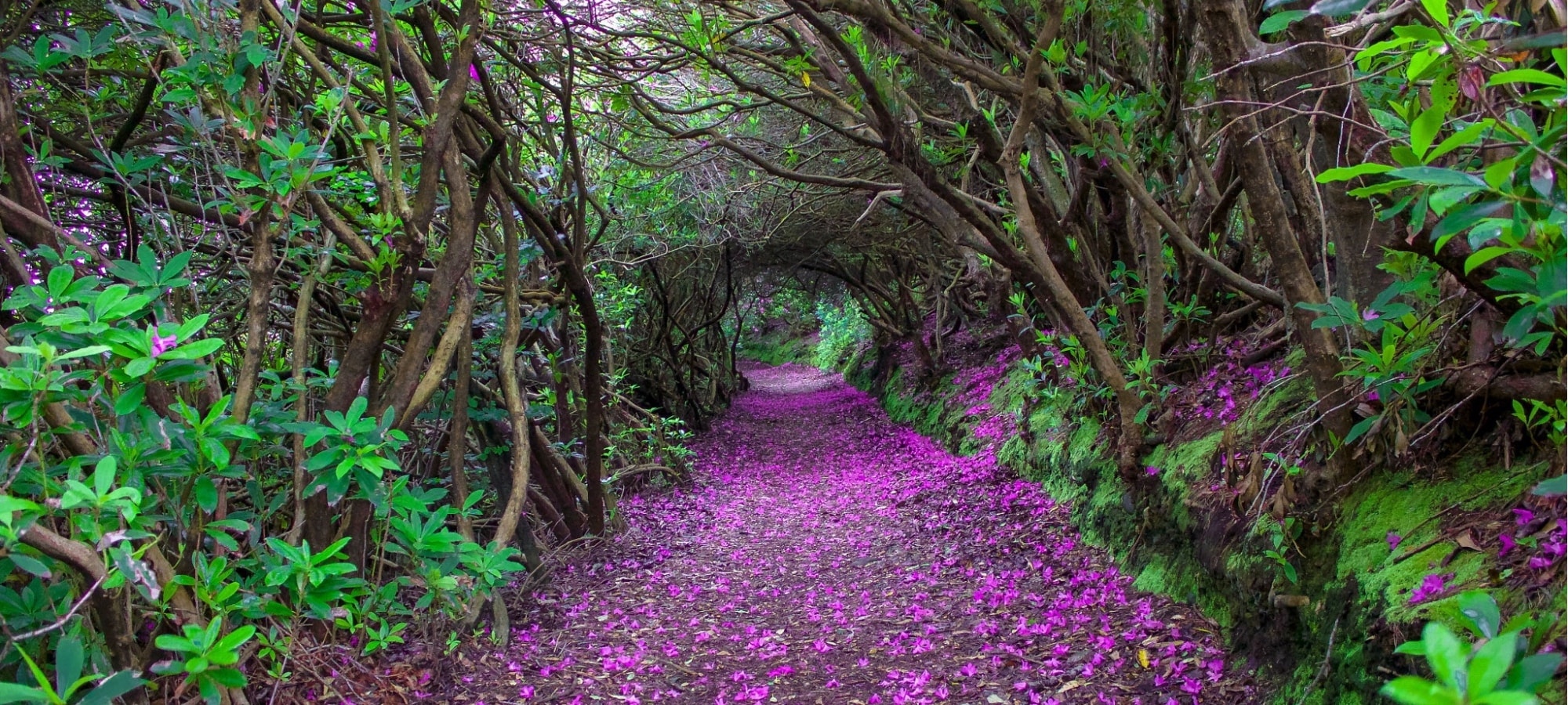 Reenagross Park
