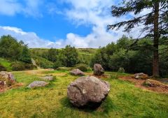 Bonane Heritage Park near Kenmare