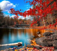 Killarney National Park near Kenmare